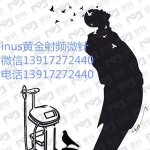 inus黃金微針探頭是黃金探頭 24k黃金探頭 美容儀器廠家