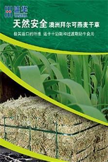 北京燕麥干草訂購 燕麥干草訂購 延華供