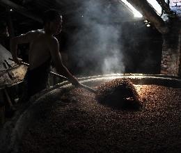 糧食酒招商代理