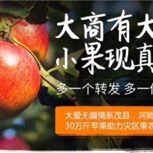 無線路由器,無線路由器啥牌子好,無線路由器價格多少,河姆渡供