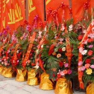 遵義-開業(yè)慶典禮品花籃盆景