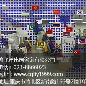 海外房產|海外房產機構|海外房產咨詢機構|渝飛洋供