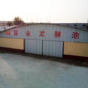 發酵池