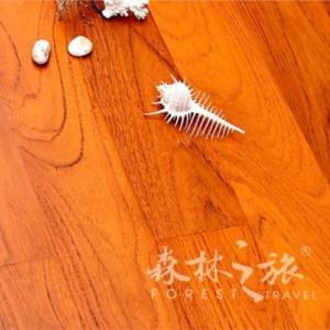 地板價格 地板設計 地板制作 森林之旅供