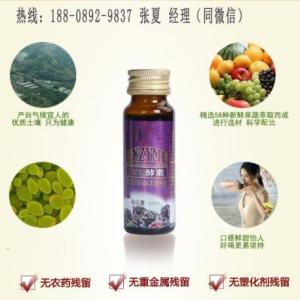 葚復合果蔬飲品oem加工、50ML桑葚復