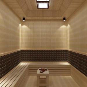 全國安裝鍺石汗蒸房家用商用免費(fèi)設(shè)計(jì)/包工