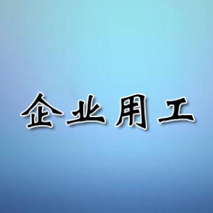 企業(yè)用工服務(wù)費用