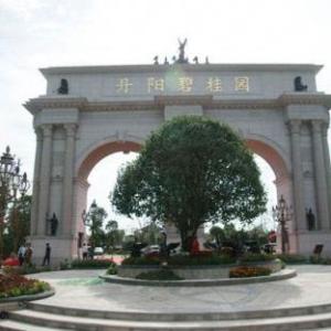 碧桂園