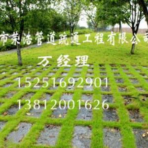 惠山草坪綠化