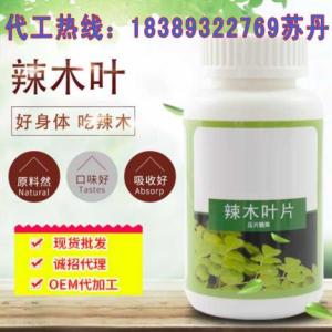 提供辣木葉片代加工 辣木葉片代工