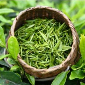 茶葉