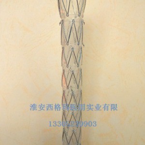 薩式擴張條