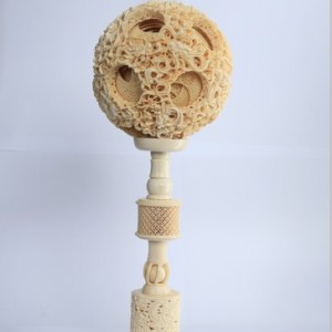 廣州猛犸牙,廣州猛犸牙價錢,廣州猛犸牙選哪家,超能供