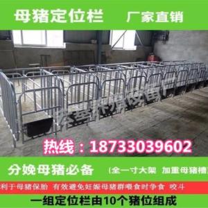 出售母豬定位欄|復(fù)合保胎欄|帶底限位欄