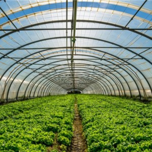 溫室大棚價(jià)格