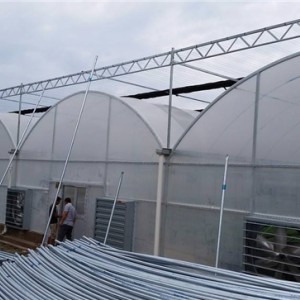鋼架大棚價格