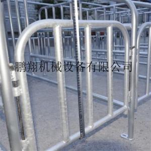 整體鍍鋅管定位欄 母豬定位欄 豬用定位欄