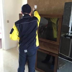 清浦裝修異味哪家專業|安庭供|清浦裝修異味專業機構