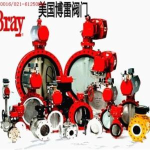 美國BRAY球閥 美國博雷氣動蝶閥 美國博雷電動蝶閥 歐儀供