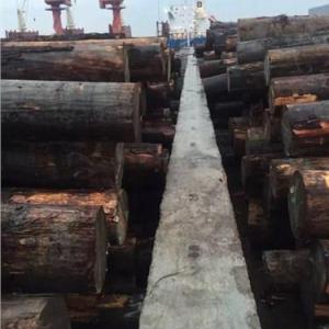 福州細(xì)紋鐵杉原木價(jià)格,福州細(xì)紋鐵杉原木加工,普達(dá)供