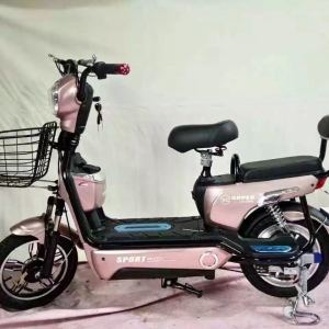 電動車