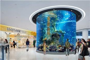 海洋館魚缸護理 藝海園供 上海海洋館魚缸護理專業提供商