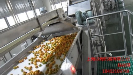 枇杷濃縮汁生產線廠家 枇杷濃縮汁生產線 枇杷濃縮汁生產線報價 以海供