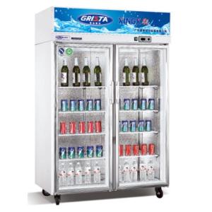 星星冷柜SG1.0E2大雙門展示冷柜