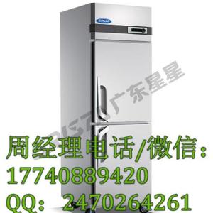 廣東星星Z500L2 B款二門高身冷藏柜