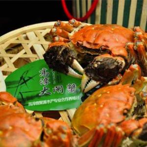 高淳大閘蟹