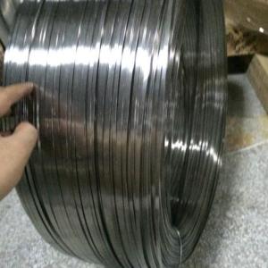 供應304L不銹鋼彈簧線 半圓線 扁線