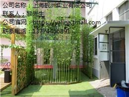 靚洲供 大型許愿樹 大型許愿樹定型