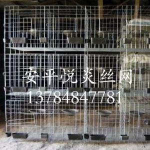 鴿子籠廠家