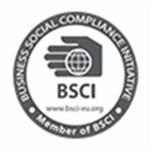 開平BSCI驗廠 開平BSCI驗廠認證 開平市 BSCI驗廠認證 源信達供