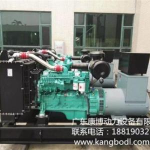 柴油發電機|上柴發電機組|斯坦福發電機組|康博動力供