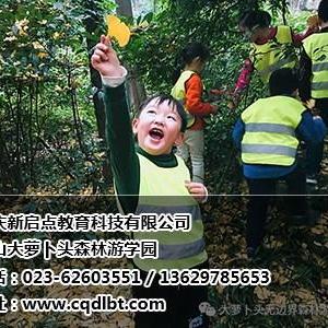 重慶森林課堂特點,重慶森林課堂特點是什么,新啟點供