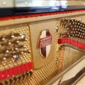 佩卓夫·菲比赫鋼琴|(zhì)佩卓夫·菲比赫性價(jià)比如何|佩卓夫·菲比赫哪里可以買得到松彬供