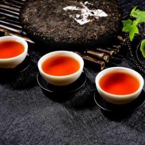 普洱茶供貨商