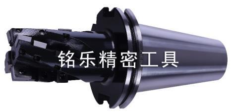 可轉(zhuǎn)位螺旋立銑刀直銷