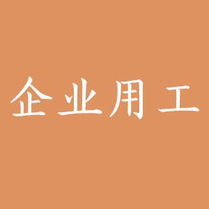 企業(yè)用工公司
