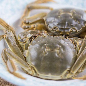 固城湖大閘蟹