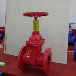 精航宇附開度指示彈性座封閘閥