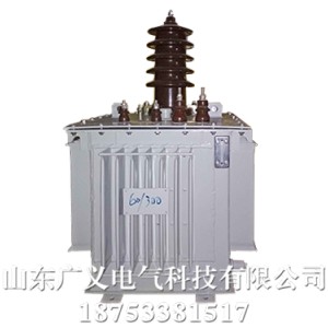 戶內式變壓器加工廠家