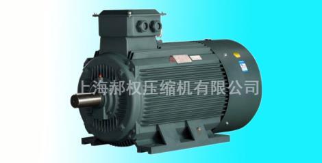 IP55高性能電機生產商