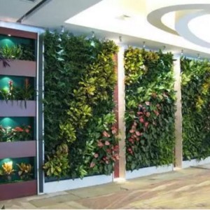 室內(nèi)植物墻加工