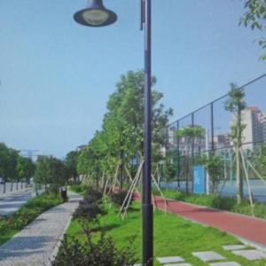 現(xiàn)代庭院燈加工