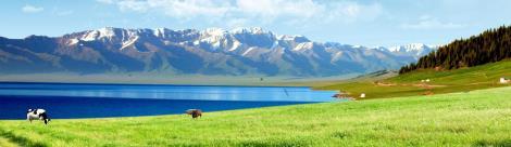 環保資質工程咨詢服務