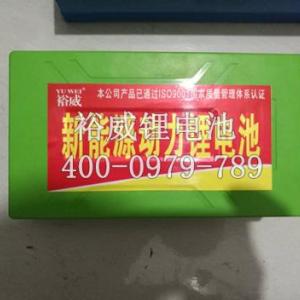 裕威新能源鋰電池生產商