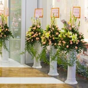 成都辦公室租植物公司就選成都市綠江南園林綠化有限公司