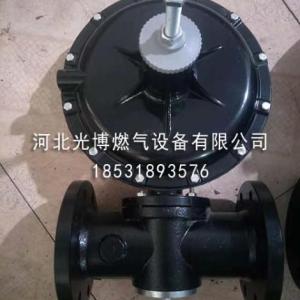 燃?xì)庹{(diào)壓器生產(chǎn)商